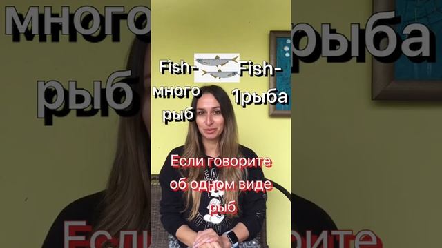 Fish or fishes? Рыба во множественном числе на английском