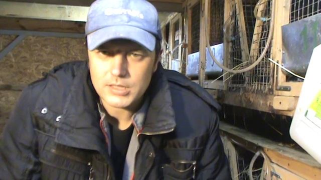 Серебряный кролик, полтавское серебро