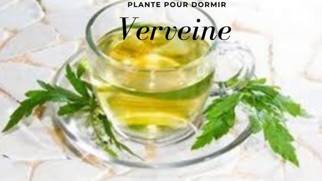 Quelles sont les plantes pour dormir ? смотреть онлайн