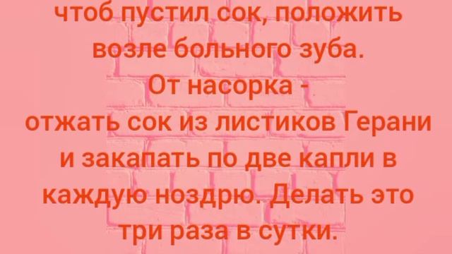 ГЕРАНЬ - полезные свойства #лечебныетравы #народнаямедицина