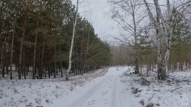 #Yogivrn meditation trekking - Борский ключ