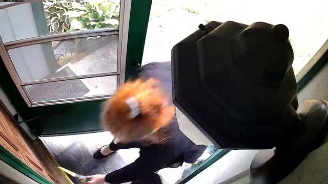 Zoneminder смотреть онлайн