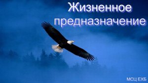 "Жизненное предназначение". Б. Вихарев. Проповедь. МСЦ ЕХБ.