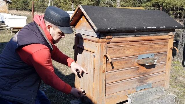 Как мы с Барсиком пчёлам помогали. смотреть онлайн