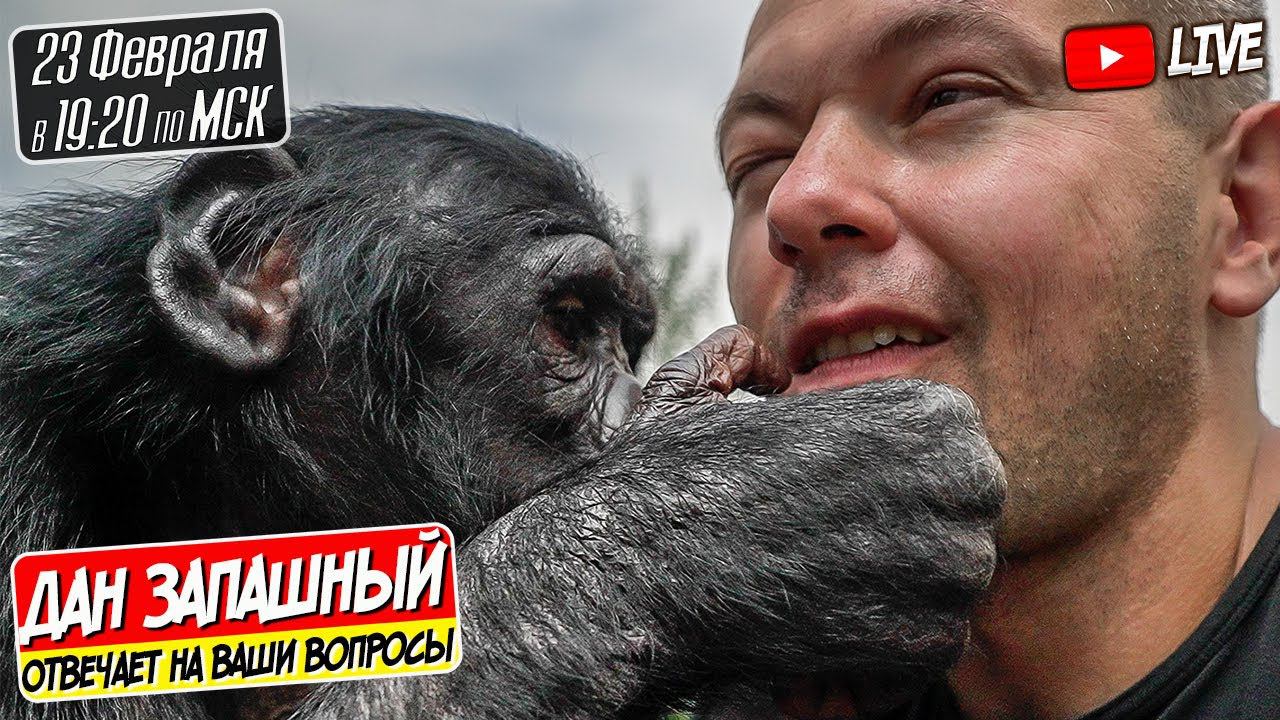 Я ВЕРНУЛСЯ В АЛМАТЫ СТРИМ с ДАНОМ ЗАПАШНЫМ 23.02.2024 смотреть онлайн