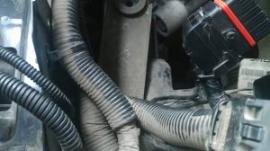 Разбор фишки мозгов весты