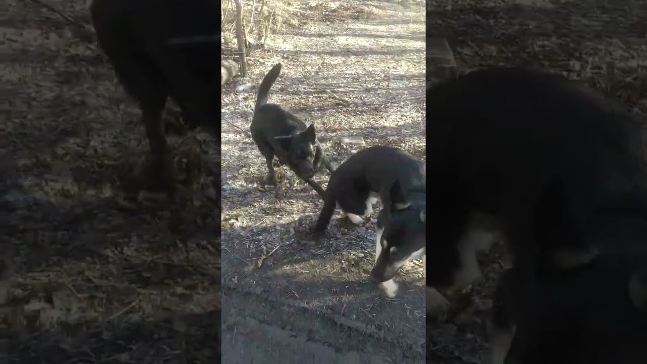 7 мая 2024 г. смотреть онлайн