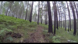КК трасса Березовая