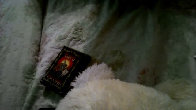 Почти прямая трансляция гадания на бесплатные вопросы смотреть онлайн