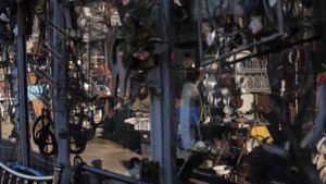 Премия Дарвина