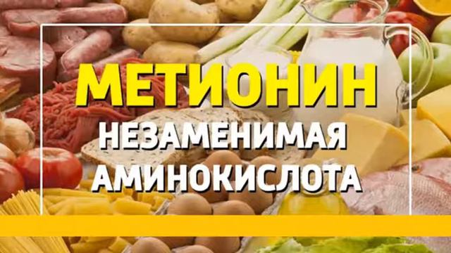 Для чего метионин необходим нашему организму смотреть онлайн