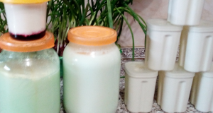 Сметана на сливках , йогурт с кусочками фруктов .Без закваски и йогуртницымашняя