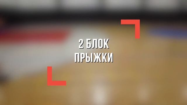 55 УПРАЖНЕНИЙ НА КООРДИНАЦИОННОЙ ЛЕСТНИЦЕ
