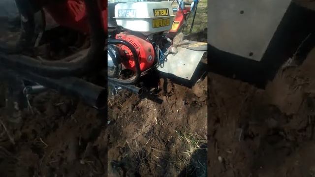 мотокультиватор штенли 1030 с пониженной передачей   на целине
