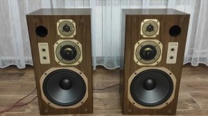 Акустика Coral DX-5