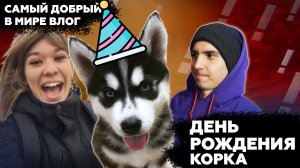 Корку 3 года | Реакция Хаски на видео | Первый раз на соревнованиях