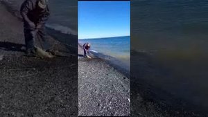 Рыбалка на озере Алаколь. Казахстан.