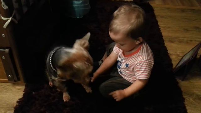 Тёма и Арчи) взаимная любовь) смотреть онлайн