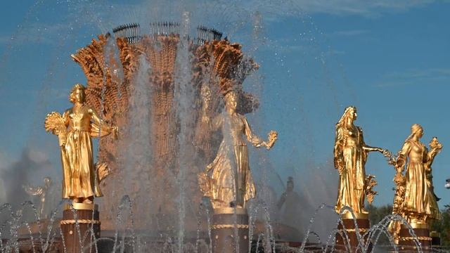 Видеосъёмка на Nikon Z 5 смотреть онлайн