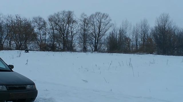 Миниснегоход-мототрансформер Пегас смотреть онлайн