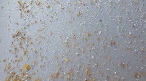 Раннее развитие семей. Белковая подкормка. Клещ!