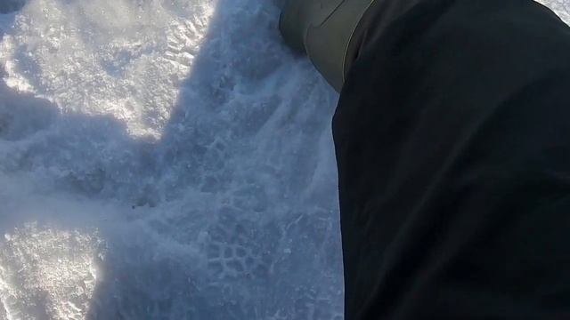 ЛОВИМ ОКУНЯ И ИЗУЧАЕМ ЭХОЛОТ Deeper Pro (Часть 1) смотреть онлайн