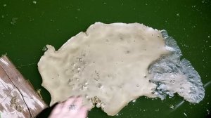 Чистка в котле "семейного гнезда" , детей, внуков, правнуков, дома, имущества от порч и "змеюки"!