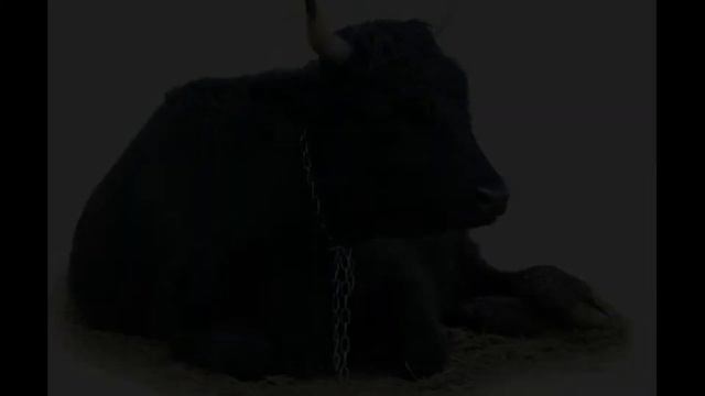 Геракл та критський бик. Міфи Давньої Греції.