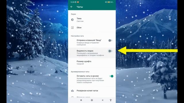 БЫСТРЕЕ СДЕЛАЙ ЭТО... Как отключить в ватсапе автосохранение фотографий - Whatsapp смотреть онлайн