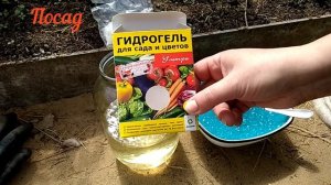 Гидрогель для пышного и продолжительного цветения петуний в вазонах.