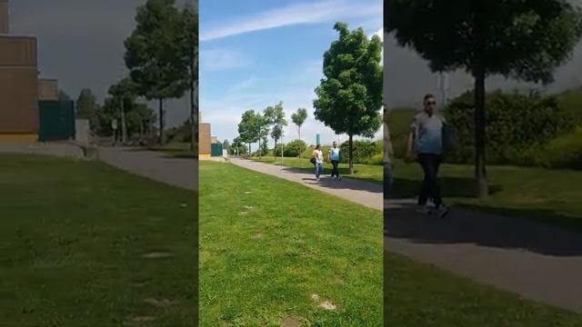 На берегу Рейна (Rhein).Леверкузен!