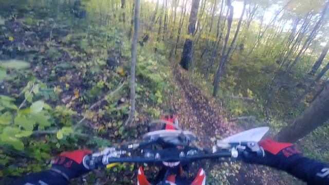 ENDURO_in_FOREST