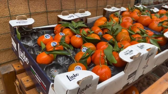 Озеро Комо,Север Италии вместе со мной ￼?? смотреть онлайн