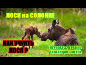 ВСТРЕЧА на СОЛОНЦЕ
