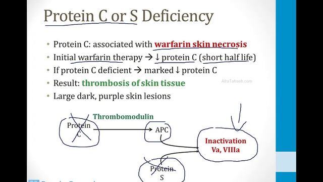 Гематология USMLE - 1. Гемостаз - 3.Гиперкоагуляционные состояния