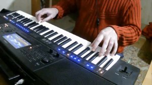 "Я Шура ребенок нежный " Черникова  (моя вольная примерная версия )Yamaha psr sx 700