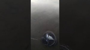 Рыбалка в Тюмени у каждого своя Река Тура на Фидор