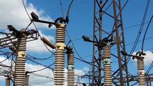 1 Разъединитель, назнач требования (4 мин)