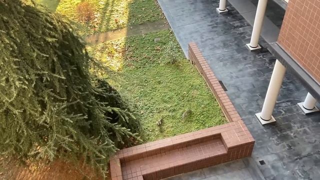 ОБЗОР КВАРТИРЫ В ИТАЛИИ. ИТАЛЬЯНСКИЕ КРИТЕРИИ ВЫБОРА ЖИЛЬЯ