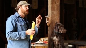 Hold Conditioning: Gun Dog Delivery Without Forced Fetch