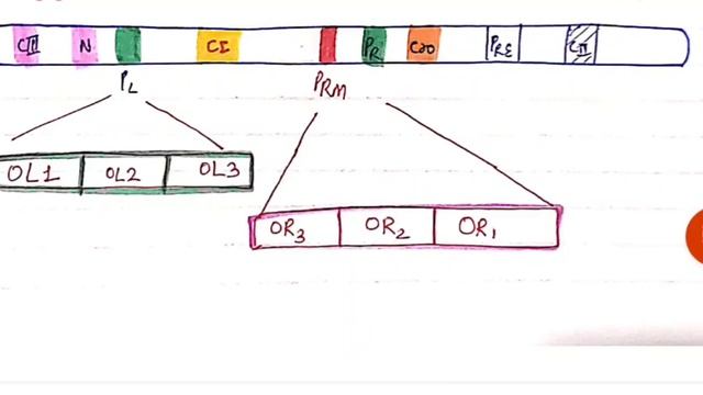 Genetic switch in lambda phage || lytic vs lysogenic switch|| Regulation of phages ??? смотреть онлайн
