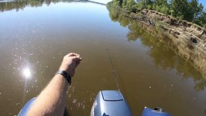 Густера. Ловим густеру на фидер.