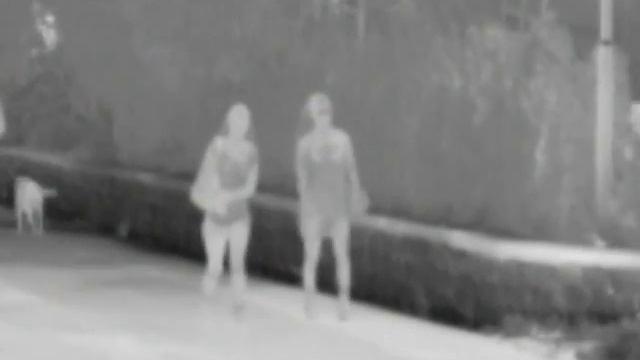 PICT0001 смотреть онлайн