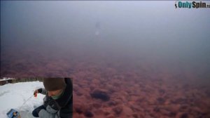 РЕАКЦИЯ РЫБА на блесну WILLIAMS. ПОДВОДНАЯ СЪЕМКА. Рыбалка с #OnlySpin