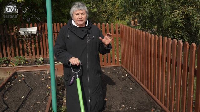 Когда Сажать Чеснок ✔️ Сроки Посева Озимого Чеснока ✔️ Советы От Хитсад ТВ смотреть онлайн