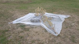 Простая и удобная защита от дождей во время отдыха на природе