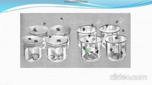 Гипотезы происхождения жизни на Земле (9 класс биология). Учитель: К. А. Высоцкая