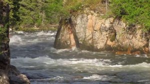 Пиранья Серлиг-Хем