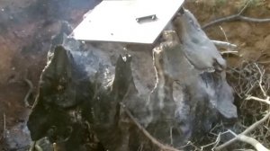 как я выкорчевывал и жег пень.