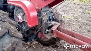 Плуг для мотоблока 2020. Оранка під сидерати.